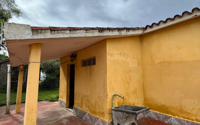 La paz y Simon Bolivar