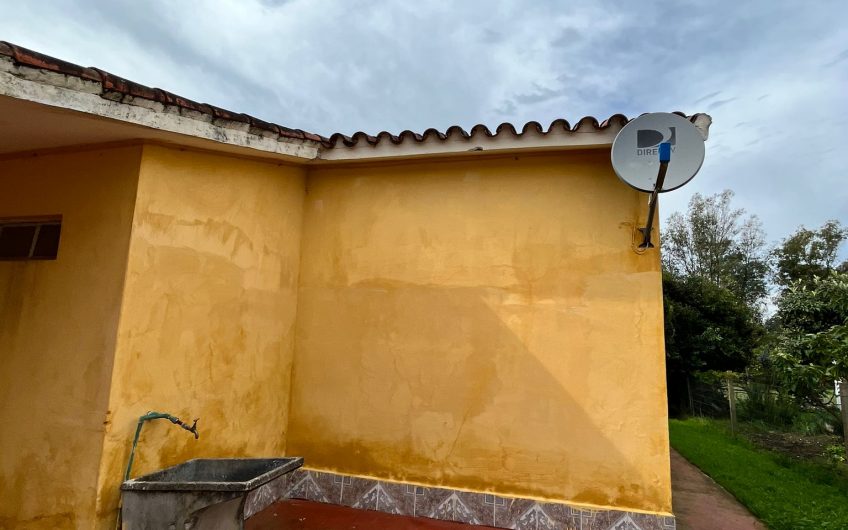 La paz y Simon Bolivar